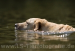 39 Wasseraction
